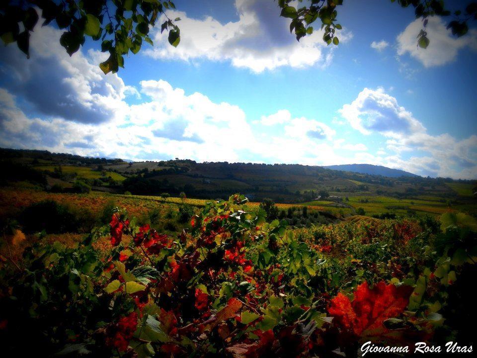 Bed and Breakfast Pietro & Graziella Sorgono Exterior foto